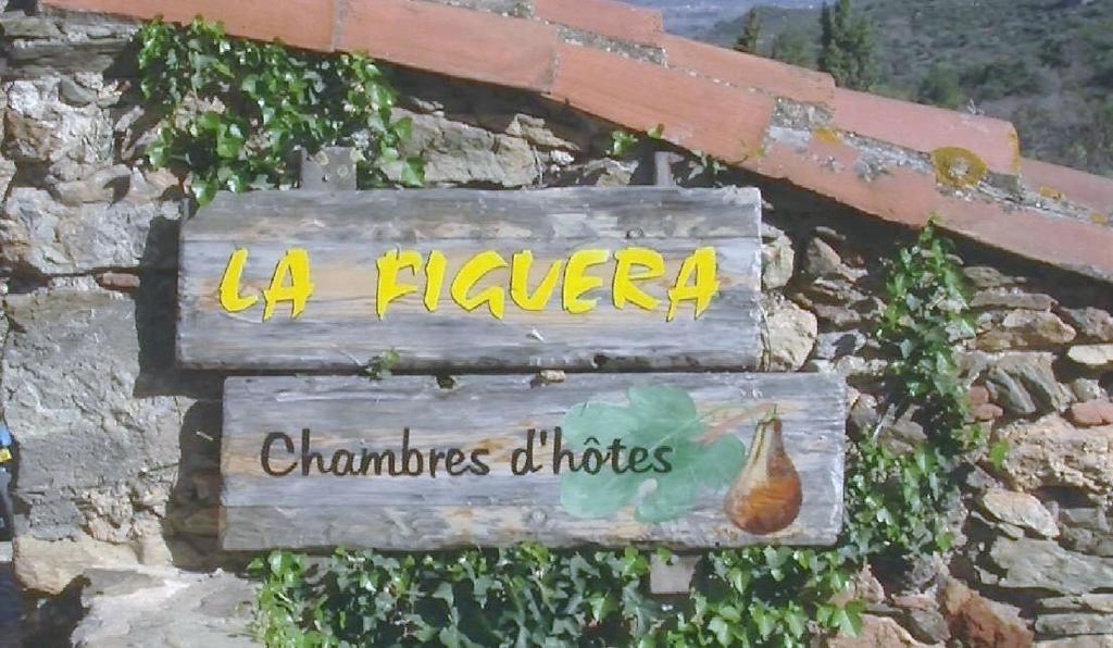 Bed and Breakfast La Figuera Camélas Exteriér fotografie